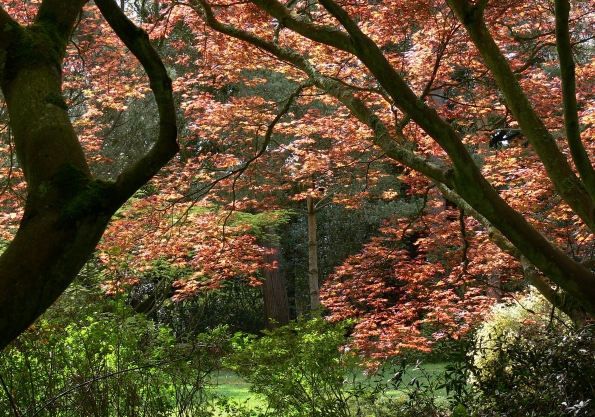 Bois des Moutiers (29) Mai 2012